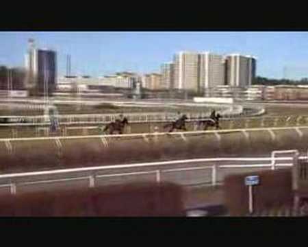Täby Galopp 4 mars 2008