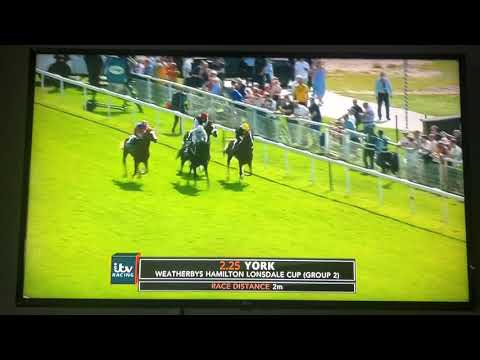 York 2019 - Weatherbys Hamilton Lonsdale Cup Stakes (Group 2)