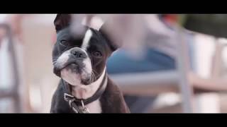 Résidence Odalys Référence Fleur de Sel - Camping Gard - Afbeelding N°2