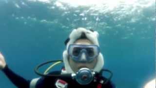 Marc Nelson completes his IWIYW challenge