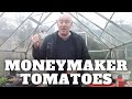 Grow Moneymaker Tomatoes