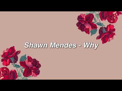 download lagu mp3 mp4 Shawn Mendes Why Lyrics, download lagu Shawn Mendes Why Lyrics gratis, unduh video klip Shawn Mendes Why Lyrics