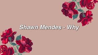 Shawn Mendes - Why {lyrics}