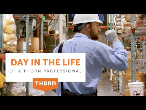 A Day in the Life of a Thorn Pest Professional