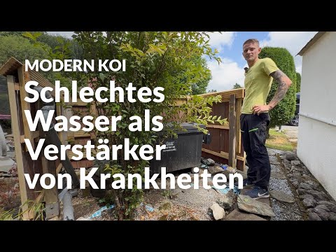 Mikes Oase Filteranlage | Modern Koi Blog #7961