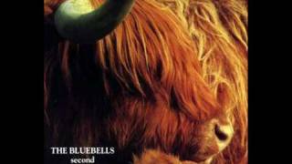 The Bluebells - Callander Green