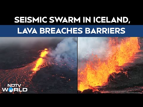 Iceland Volcano | Grindavik On Alert: Lava Breaches Barriers After Seismic Swarm