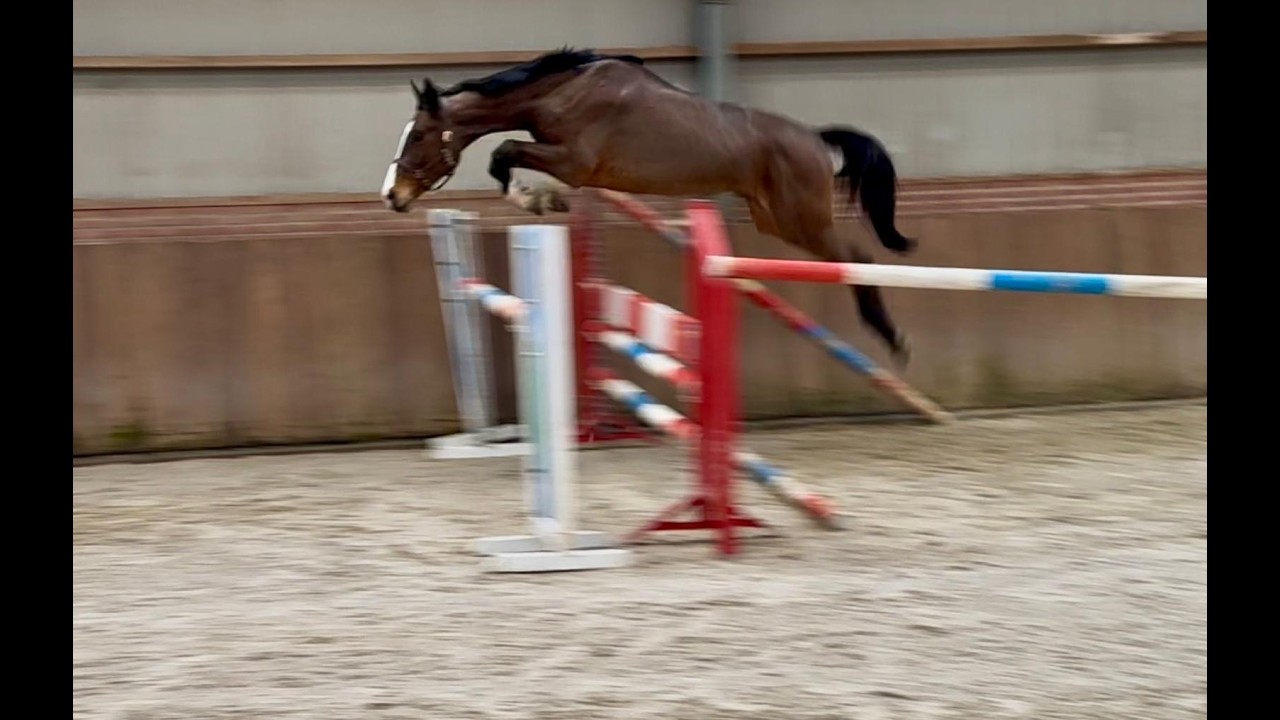 Casagrano PS (CASALOU PS x CHACGRANO) video 1