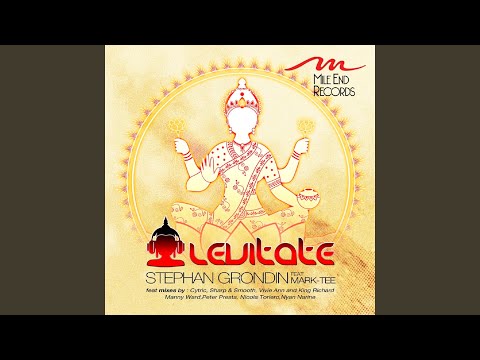 Levitate (The Manny Ward Mix)