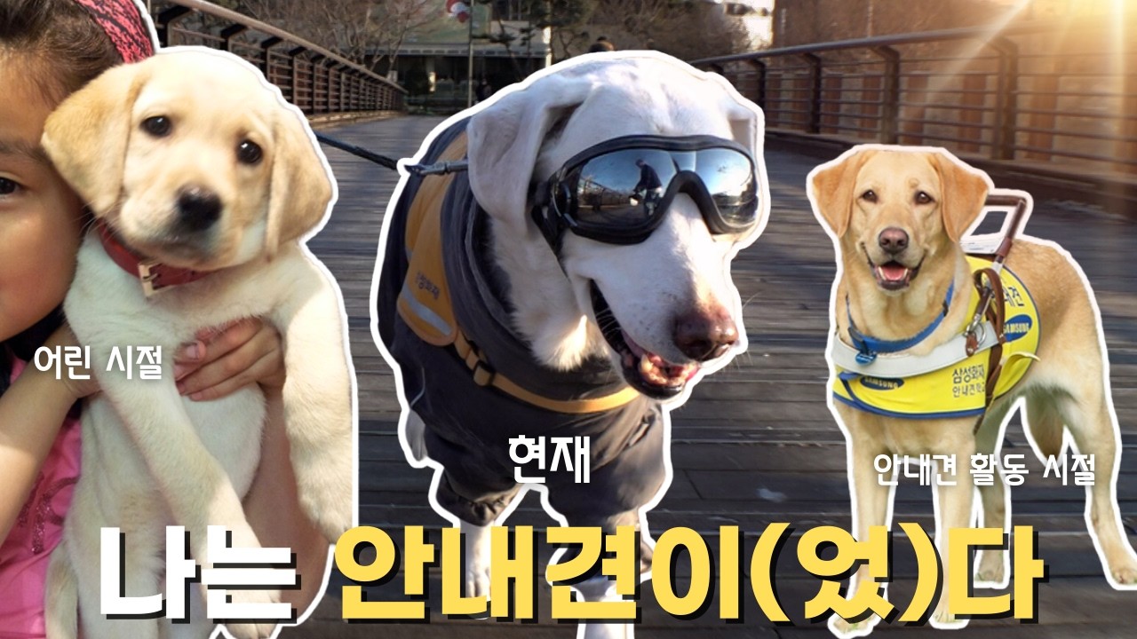 고유 이야기