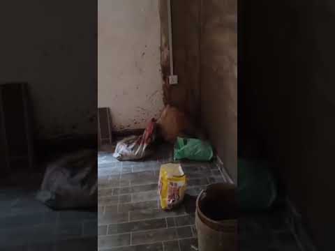 Newly Built Room Self-Contain & Shop for Rent at Tejuosho, Yaba
