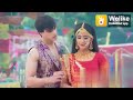 Panchi Bole Hai Kya