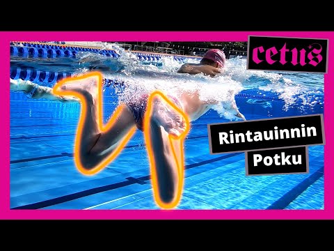 Rintauinti 2 - Potku