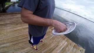 Rock 'Em: Let it Fly This Summer