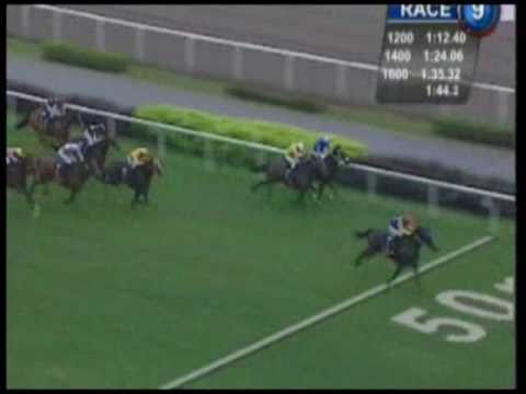 (新加坡) 萊佛士杯 RAFFLES CUP--「最美好」維持不敗紀錄，12戰12捷 (24/10/2010)