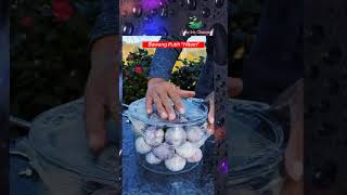Download lagu Cara Membuat Bawang Putih hitam mp3
