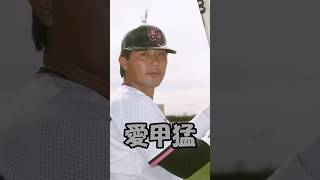 悪童　愛甲猛解説動画　短縮版2　#shorts  #npb  #千葉ロッテ #プロ野球 #中日ドラゴンズ  #野球