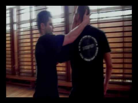 Seminar at the Ho Yiu Fay Black Belt Academy 2010