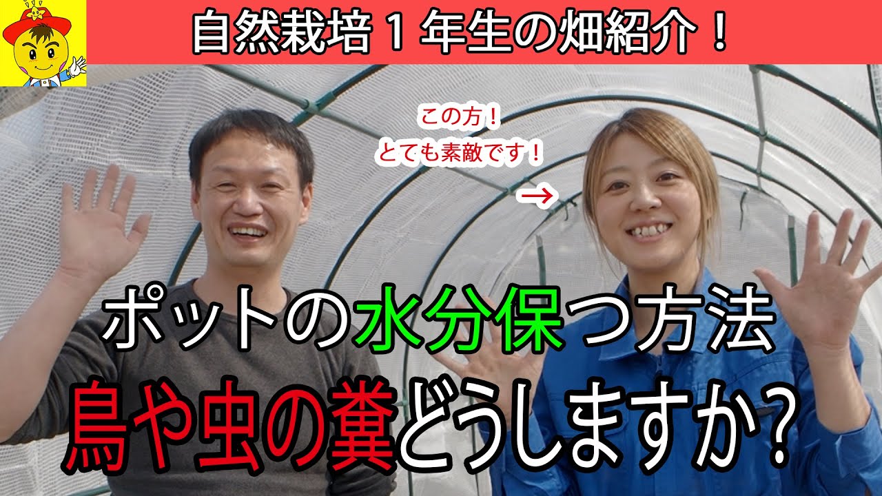 育苗ポットの乾燥対策と自然農の実践現場｜「レムリアな村づくり」彩さんの畑から学ぶ