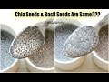 Chia Seeds & Basil Seeds (Sabja) Are The Same? - Quick Weight Loss With Chia Seeds - Health Benefits