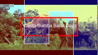 preview picture of video 'Cerita Sumba Barat Daya'