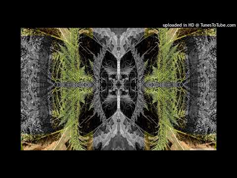 Lyzergik brain _ ready to die