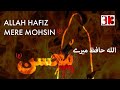 Noha Mohsin Bin Ali A S Allah Hafiz Mere Mohsin 313 Productions