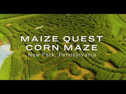 download lagu mp3 mp4 Maze Maize, download lagu Maze Maize gratis, unduh video klip Maze Maize