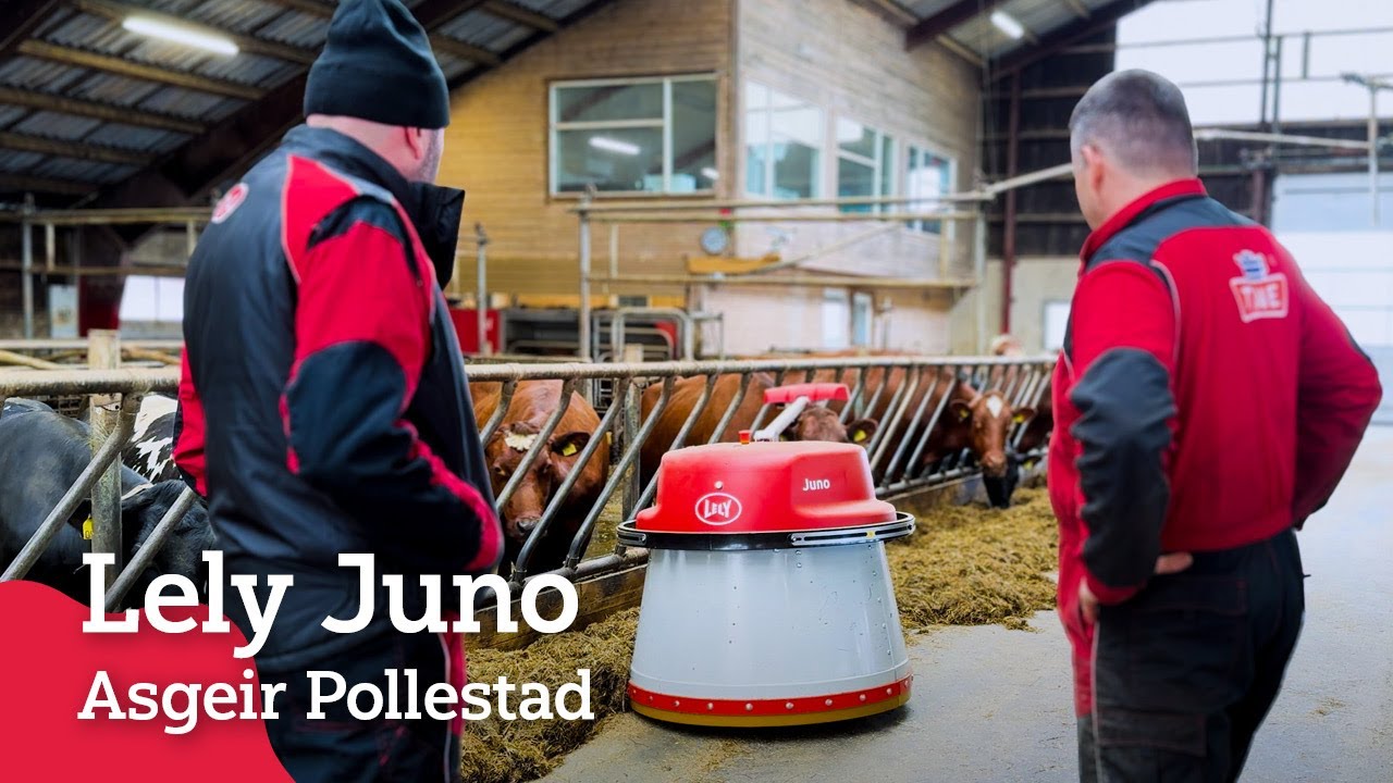 Lely Juno hos Asgeir Pollestad