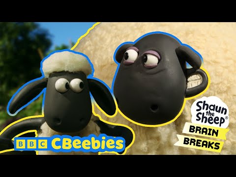 シャーリーに餌をあげる | ひつじのショーン | CBeebies (Feed Shirley | Shaun The Sheep | CBeebies)