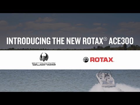 スカラブ ROTAX  ACE 300 エンジン 紹介動画