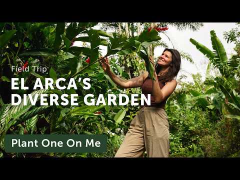 Inside a 20-ACRE COSTA RICAN Botanical GARDEN Overflowing with Plants — Ep. 436