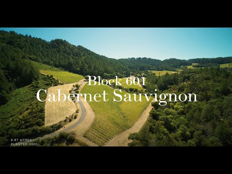 Mt. BRAVE Cabernet SAUVIGNON 2016 - Mt. Veeder AVA, Napa Valley video