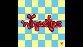 Teenage Dirtbag (Cover Version of Wheatus song)