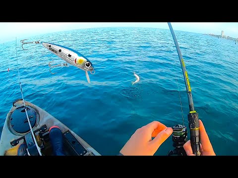 Prima FANTASTICA Uscita a Pesca in Kayak del 2021! TANTE Catture con Piccoli Minnow a Traina Leggera