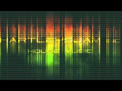 HARTLEYSJAM inc & SHAUN DUNN - HOT STEPPER organ mix
