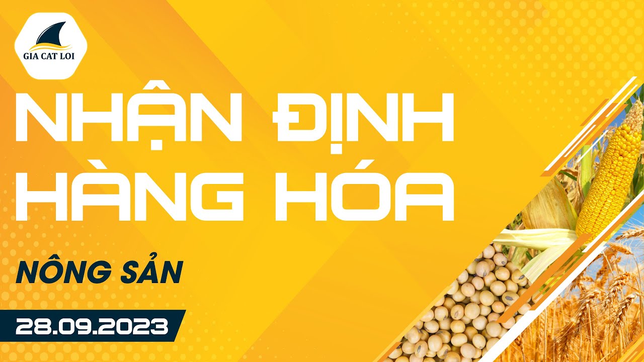Nhận Định Hàng Hoá Nông Sản Ngày 28/09/2023