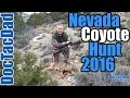 Coyote Down! - Nevada Coyote Hunting 2016 