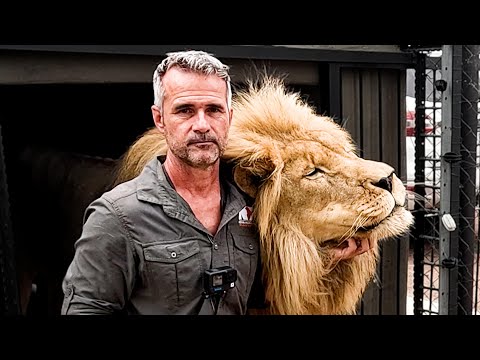 LION REUNION - Kevin Richardson's Lasting Bond | The Lion Whisperer