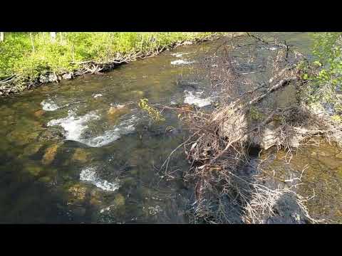 Gargia Lodge, Alta Norway.  Summer 2019