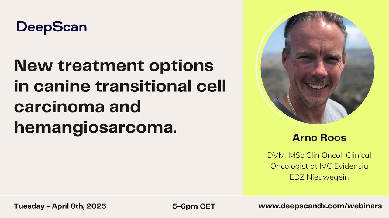 New treatment options in canine transitional cell carcinoma and hemangiosarcoma