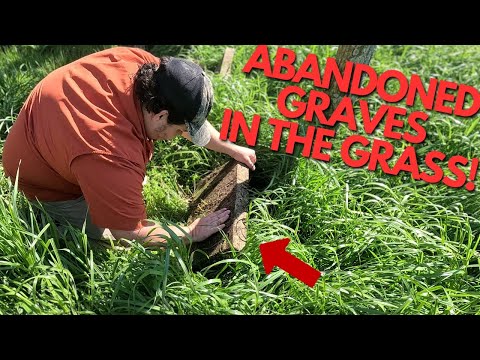 I danni al cimitero abbandonato rivelano un inquietante ritrovamento sotto la superficie