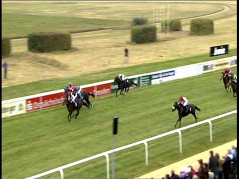 Galopprennbahn Dresden - 06.10.2013 - 5.Rennen