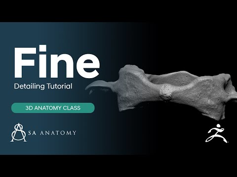 Understanding Details & Forms In ZBrush (Quick Tip 1)