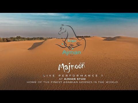Majnoon - Live Performance 1 at Ajman Stud - Home of the finest Arabian horses in the World