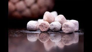 Những loại vật liệu lọc thần kỳ sẽ giúp bể cá trong vắt khỏe mạnh