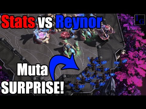 Stats (Protoss) versus Reynor (Zerg) | SC2 Pro Match With Commentary Professional Starcraft 2 PvZ
