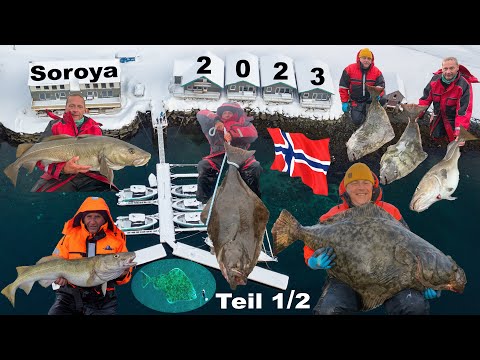 Angeln in Norwegen 2023 - Extremes Soroya Teil 1/2