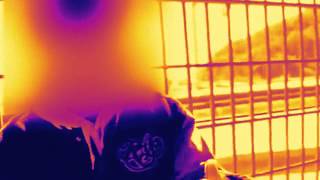 Copia de Me dejo la piel Porta  2012 Reset Video Oficial