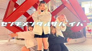 HUSH HUSH 【センチメンタルサバイバー】MV